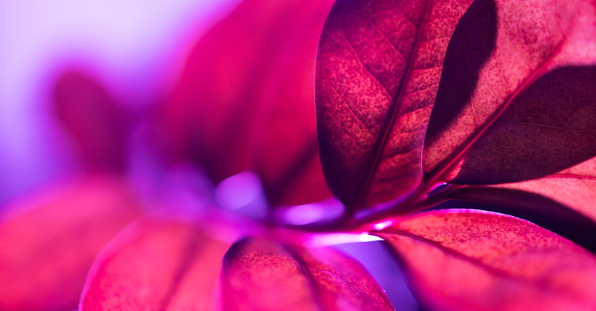 Choosing Colourful Accessories to Brighten Your Garden Office