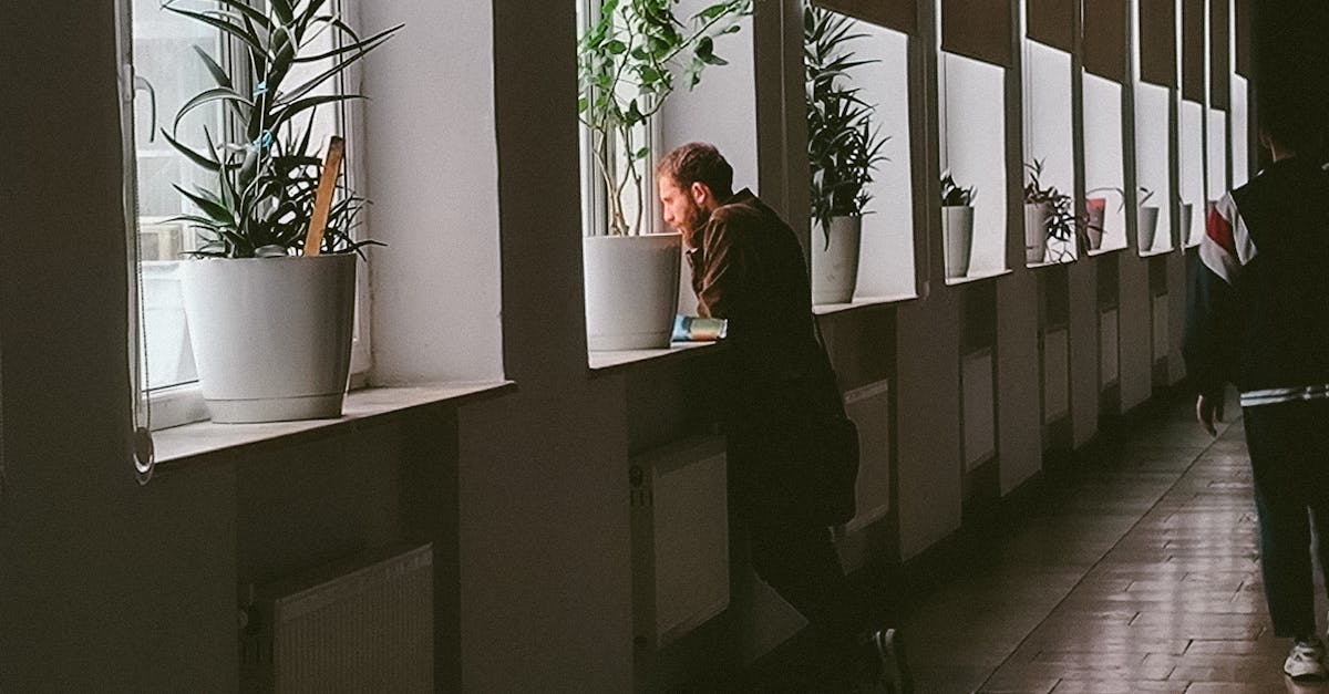 Comparing Flat Roofing Solutions for Modern Garden Designs