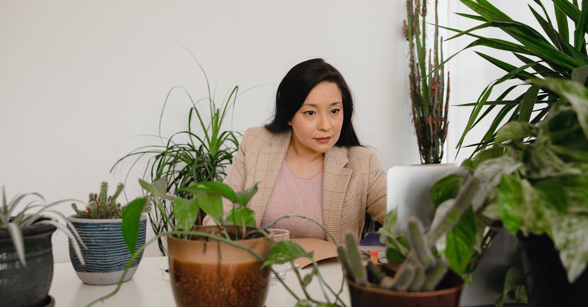 Comparing the Durability of Composite and Natural Wood Finishes