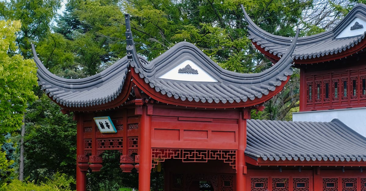 Essential Gadgets for an Efficient Garden Office Environment