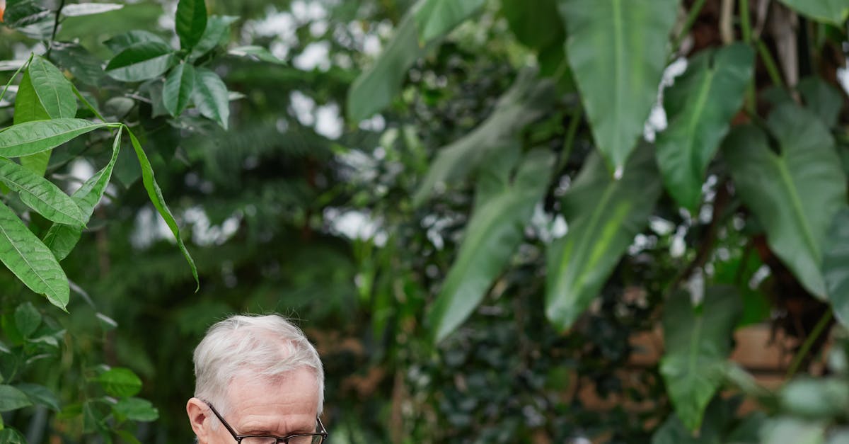 Family Spaces: Creating a Garden Office for Collaborative Projects