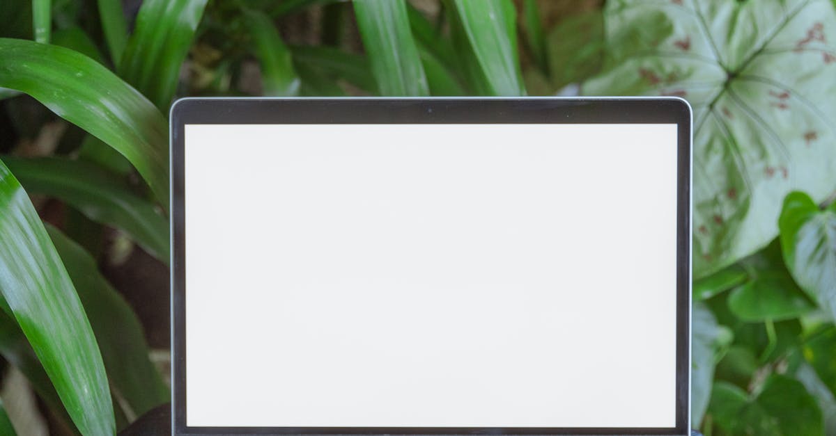 Selecting the Right Colour Temperature for Garden Office Illumination