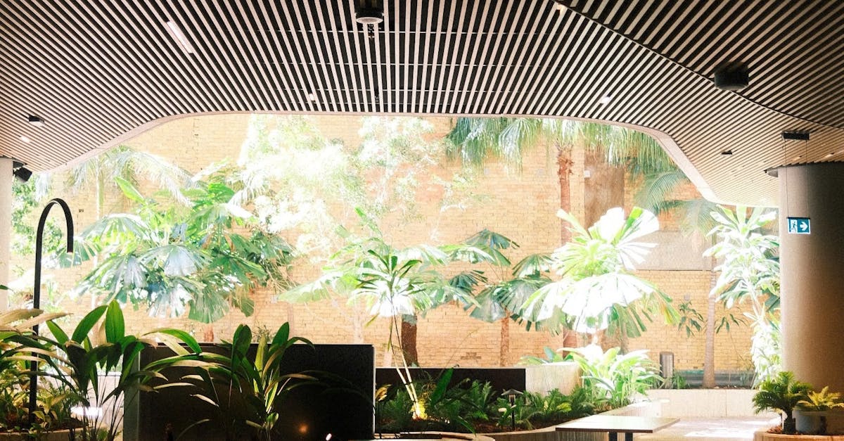 Selecting Timeless Colour Schemes for Longevity