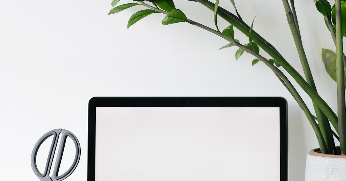 Using Pathways to Connect Your Garden Office to the Surroundings