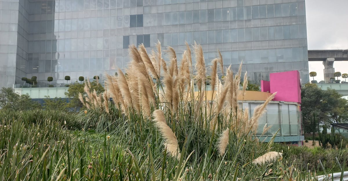 Weather Considerations for Your Garden Office Setup