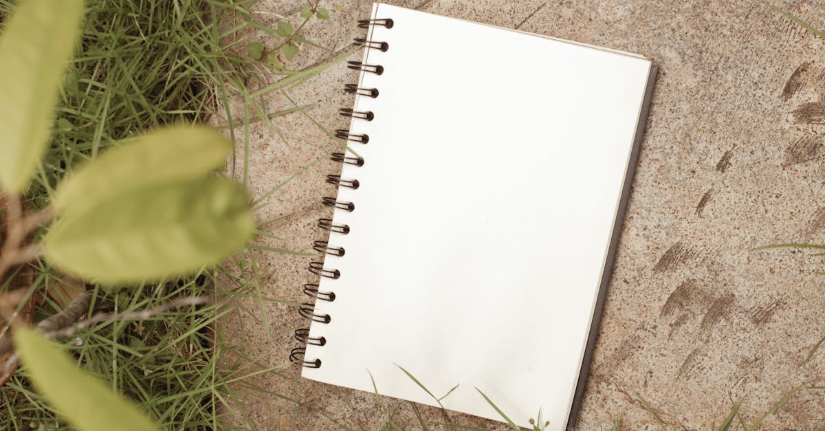 Weather Resilience: Choosing the Right Roofing Material for Your Garden Office